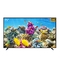 Ultra HD 75 85 98 100 Inch Smart TV Flat Screen TV WiFi Android 4K LED TV Television for Sales supplier